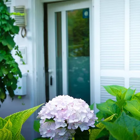 Creutzig Apartment Stockach