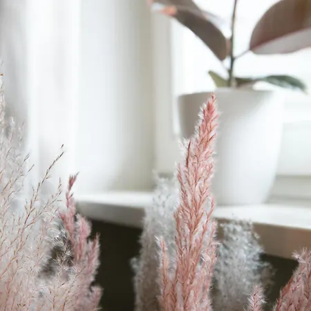 Creutzig Apartment Stockach