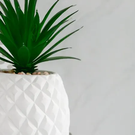 Apartment Creutzig *