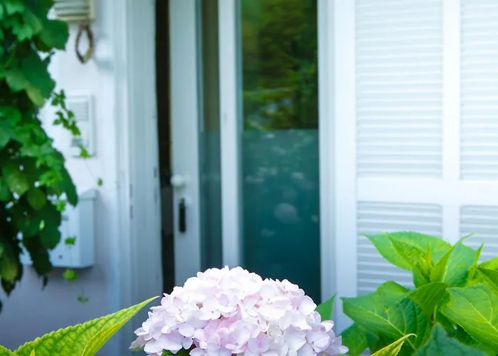 Creutzig Apartment Stockach