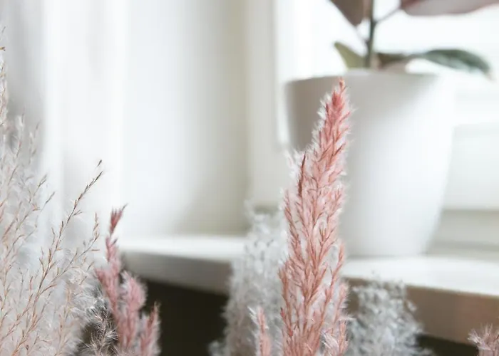 Creutzig Apartment Stockach